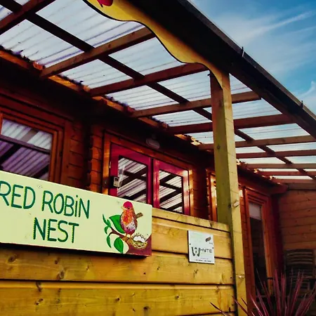 Red Robin Nest * Galway